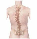 Complex of exercises for the treatment of scoliosis