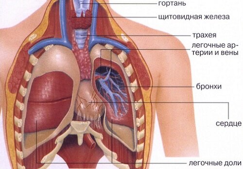 Како и шта старост човек може да сачува потенцију