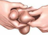 Technique for palpation of the testes