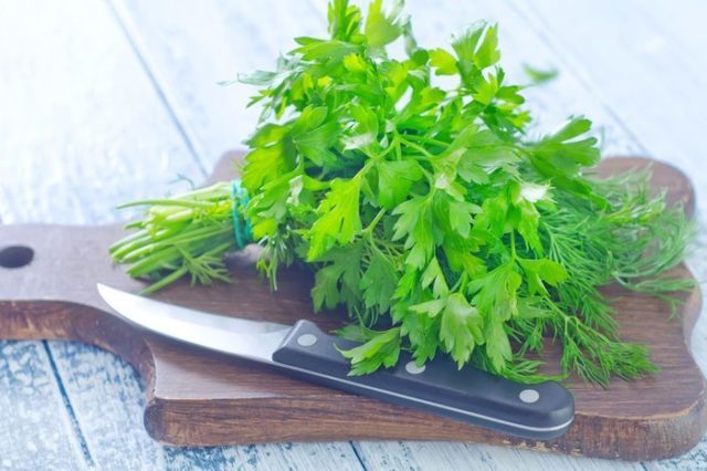 Dill: what is the benefit to men's health