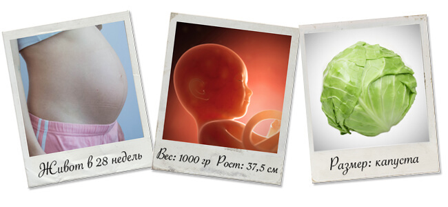 28 weken zwanger: beschrijving, foto's, testen foetale bewegingen, Rhesus-conflict