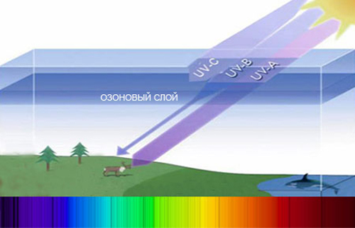 Wirkung auf den menschlichen Körper der ultravioletten Strahlung