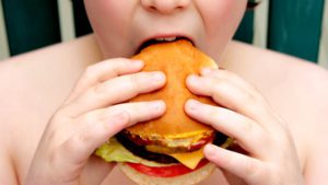Fastfood indtag