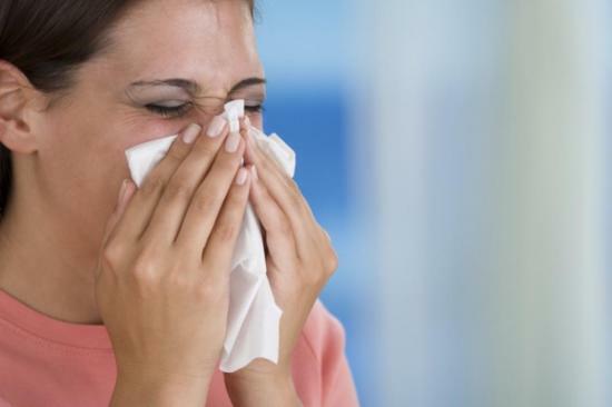 Kalanchoe hilft der Sinusitis loszuwerden