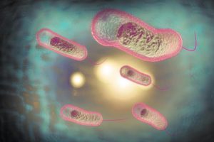 Infección intestinal aguda