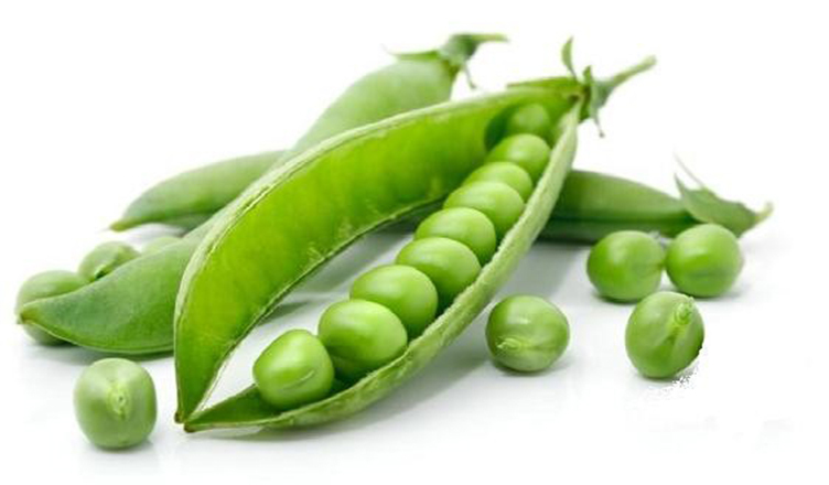 Benefit and harm of peas