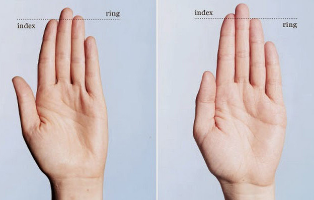 Longitud de los dedos, testosterona y comportamiento