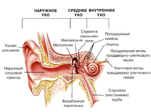 Što učiniti kada bol u uhu: Izaziva nelagodu i prvu pomoć