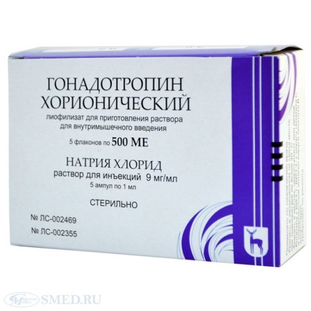 The use of human chorionic gonadotropin for men: reviews of preparation