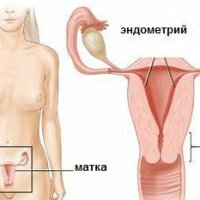 De dikte van het endometrium is normaal