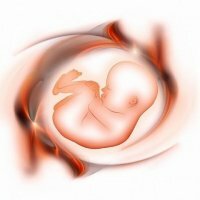 Insuffisance placentaire: causes, symptômes, traitement