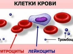 Les faibles niveaux de leucocyte