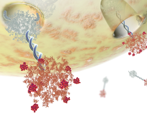 Krvni testovi za tumorske biljege: vrste tumorskih biljega i rezultata dekodiranja