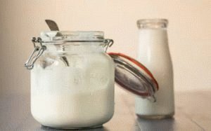 Bebida de kéfir