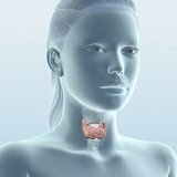 Diseases of the thyroid gland in children