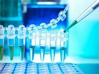 PCR-Test für Balanitis bei Männern