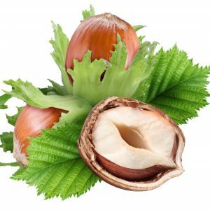 Hazelnut: harm and benefit
