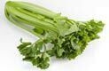 Celery for men - a source of health and male power