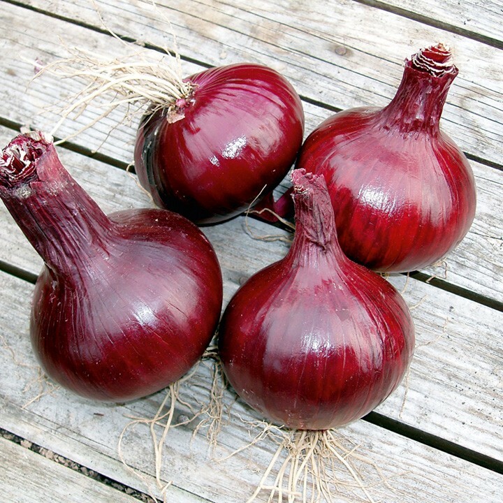 Benefits of onions