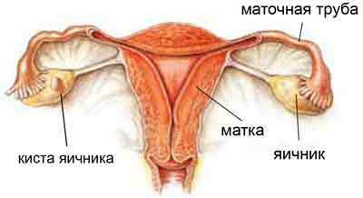Djufaston med ovariecyste: aktioner og fremgangsmåder til anvendelse af mekanismen