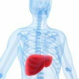 Zdravljenje maščobne distrofije jeter s folk zdravili