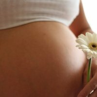 Leverbehandling med örter under graviditeten