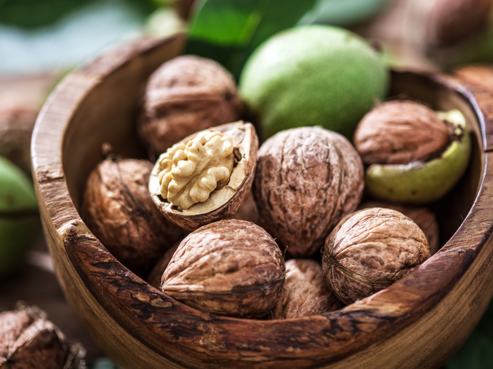 Walnut: benefits and harms to the body, use in traditional medicine