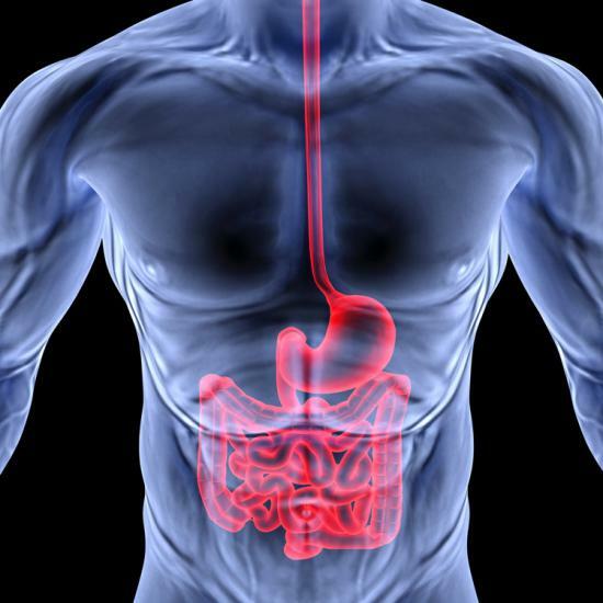 asas intestinales dilatadas: cómo prevenir ésta y otras enfermedades?