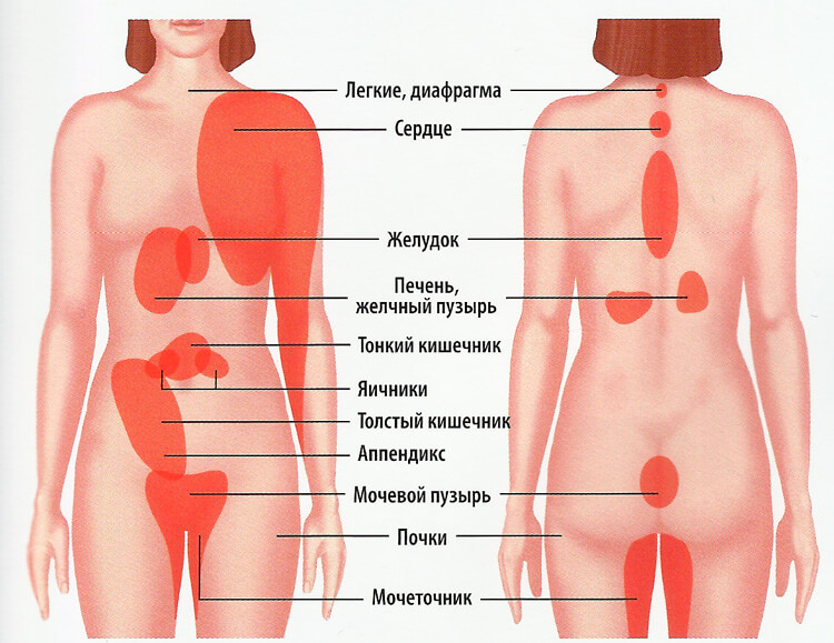 Bolest v levém horním kvadrantu: příčiny a možné nemoci
