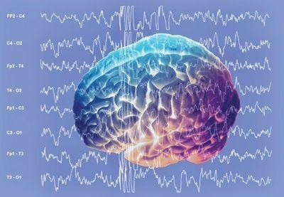 Alpha rhythm of the brain