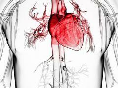 Manji srčani udar je oblik ishemije