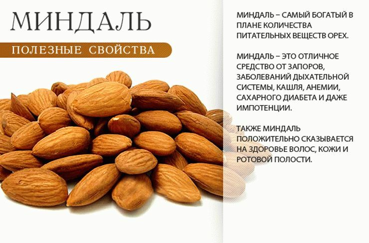 Almond: benefit and harm