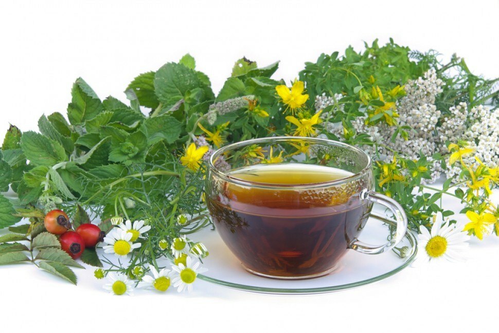 Herbal Cancer Treatment
