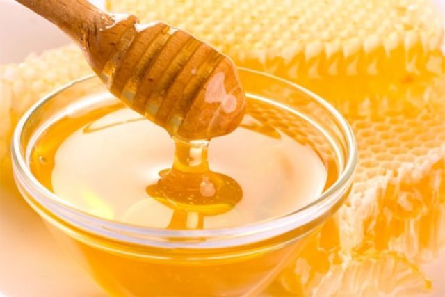 שיטות של דבש ערמונית טיפול