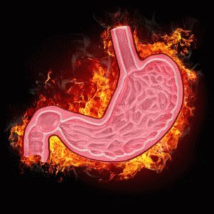 Hoe dassenvet te nemen voor gastritis?