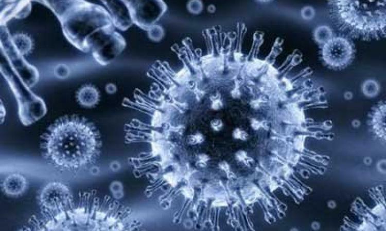 Enterovirus infection: symptoms, diagnosis, treatment