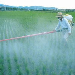 Pesticidy. Pokud došlo k otravě