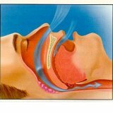 Farmakoterapi rasional penyakit pernafasan