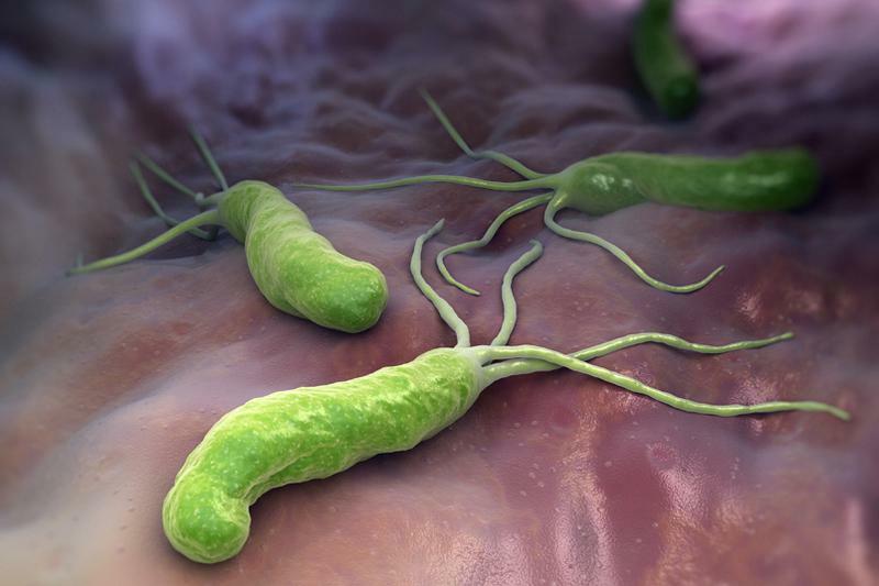 Infeksi dengan Helicobacter pylori