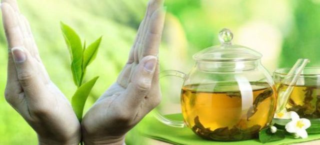 ההשפעה של תה ירוק על העוצמה: סגולות רפואיות, איך לחלוט