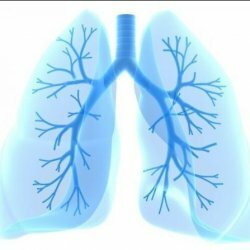 Henkitorven ja keuhkoputkien trauma