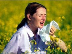 hosta med symtom på allergi