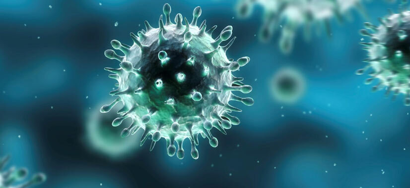 Vírus da herpes