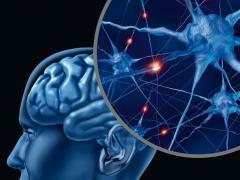 Ljudski mozak je jedinstven organ