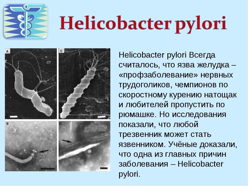 Бактерии хеликобактер причины. Язва желудка хеликобактер. Язва 12 перстной кишки вызванная хеликобактер пилори. Заболевание, вызываемое хеликобактер пилори. Инфицированность Helicobacter pylori.