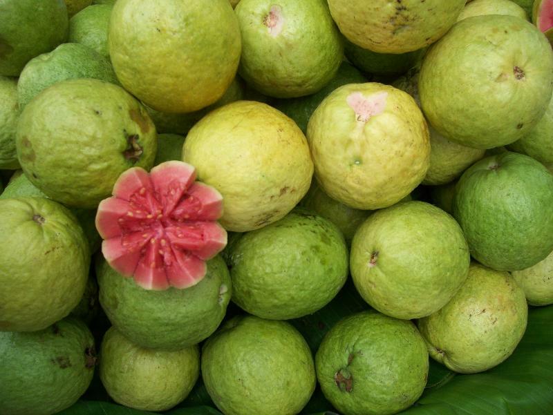 Het gebruik van guave