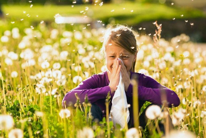 Alergiczny nieżyt nosa i metody jego zapobiegania