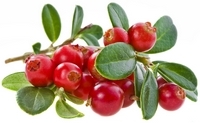 Cranberry is een superfood voor het hart