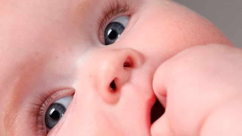 Als das Baby Stomatitis zu heilen?