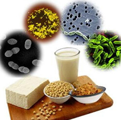 Probiotika für Darmmikroflora